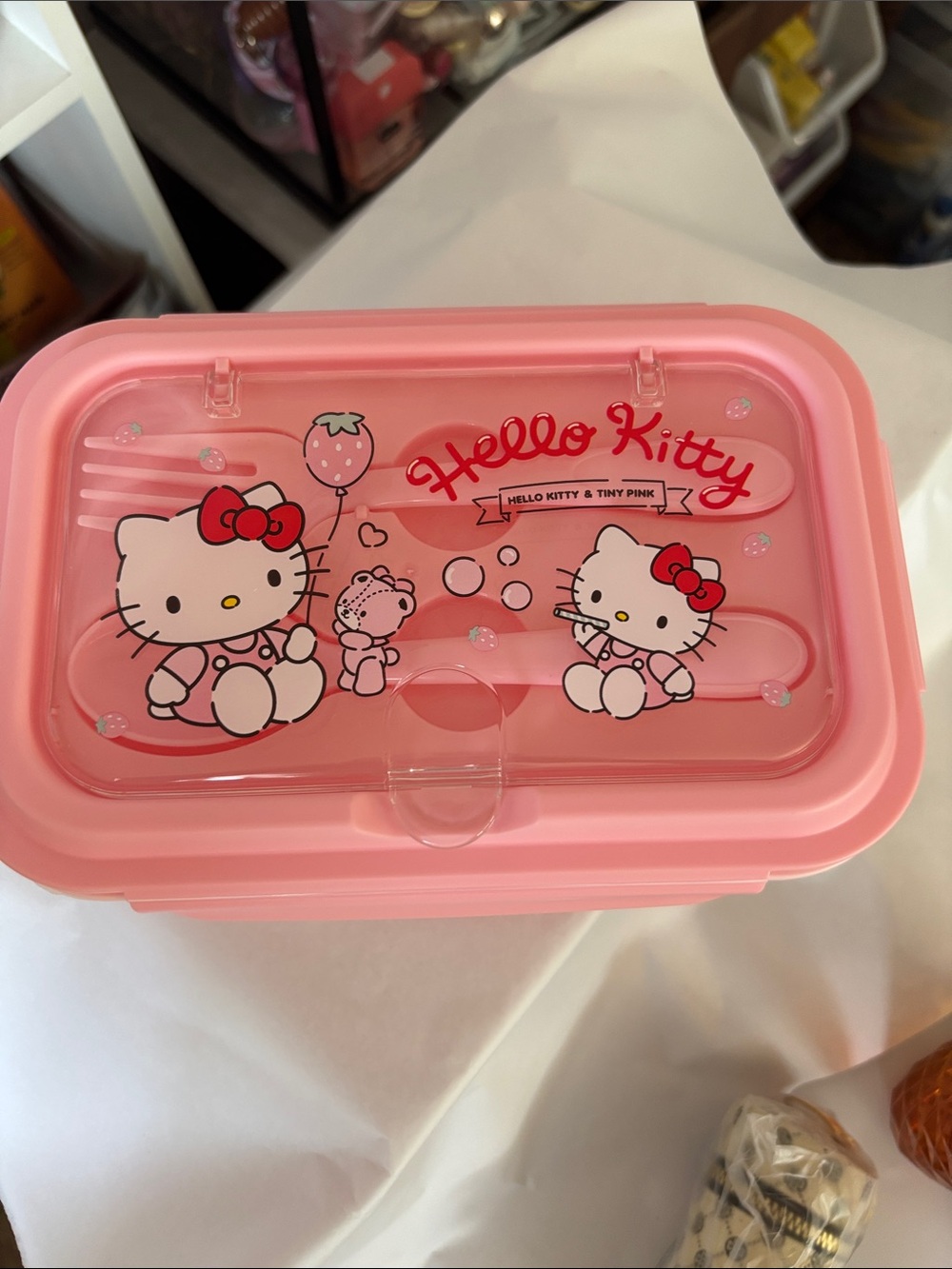 Hello Kitty Pink Plastic Bento Box with Cute Character Art